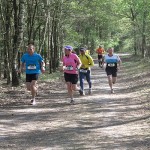 Trailrun Leudal 2013. Foto\\\’s Pieter